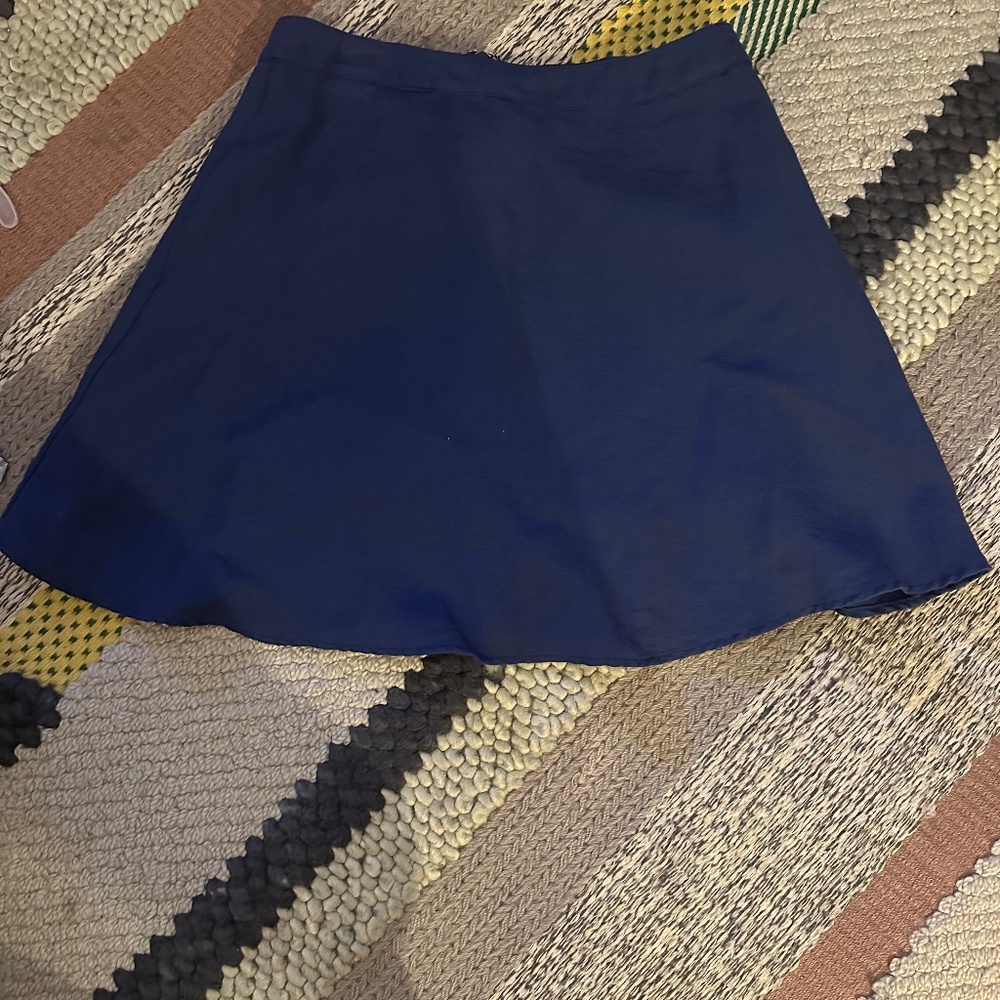 Blue High Waisted Skirt